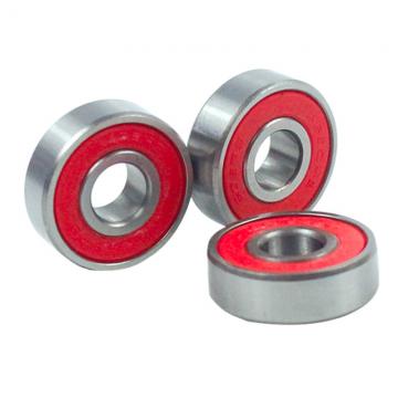 Xtsky High Quality Taper Roller Bearing (LM67048/67010)